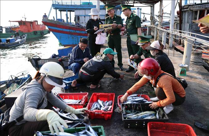 Bộ đội Biên phòng Quảng Trị tuyên truyền về công tác bảo vệ an ninh tổ quốc ở khu vực cảng cá thị trấn Cửa Việt, huyện Gio Linh. Ảnh: Vũ Sinh - TTXVN