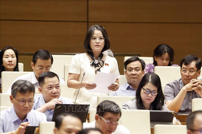 Đại biểu Quốc hội tỉnh Bình Dương Nguyễn Hoàng Bảo Trân phát biểu. Ảnh: Doãn Tấn - TTXVN