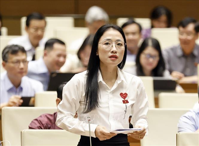 Đại biểu Quốc hội tỉnh Thái Bình Trần Khánh Thu phát biểu. Ảnh: Doãn Tấn - TTXVN