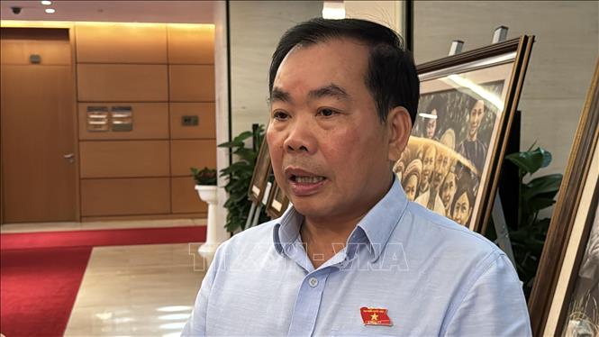 Đại biểu Nguyễn Quang Huân (đoàn Bình Dương) trao đổi bên lề kỳ họp. Ảnh: Hải Ngọc - TTXVN