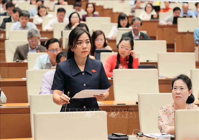 Đại biểu Quốc hội tỉnh Sóc Trăng Trần Thị Ngọc Diễm phát biểu. Ảnh: An Đăng - TTXVN
