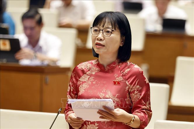 Đại biểu Quốc hội tỉnh Hải Dương Nguyễn Thị Việt Nga phát biểu. Ảnh: Doãn Tấn - TTXVN