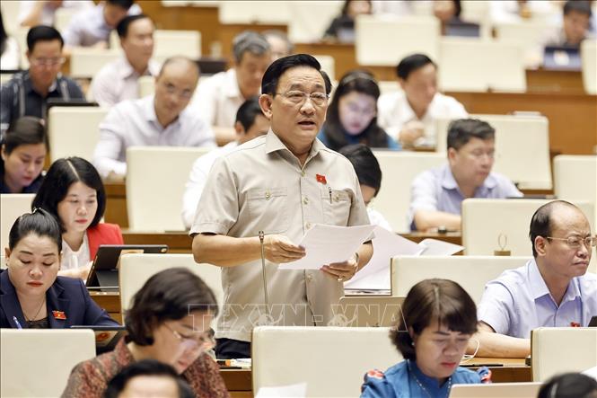 Đại biểu Quốc hội tỉnh Trà Vinh Trần Quốc Tuấn phát biểu. Ảnh: Doãn Tấn - TTXVN