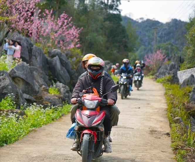 Foreign tourists take motorbike tours to explore Ha Giang. VNA Photo