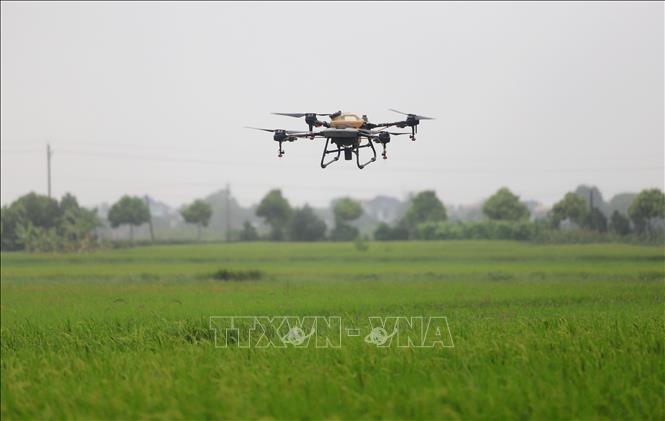 Ứng dụng khoa học kỹ thuật, công nghệ kỹ thuật cao vào sản xuất nông nghiệp tại tỉnh Thái Bình. Ảnh: Thế Duyệt – TTXVN