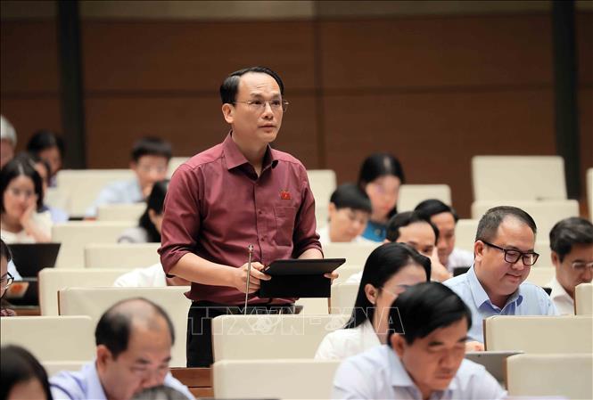 Đại biểu Quốc hội tỉnh Lạng Sơn Lưu Bá Mạc phát biểu. Ảnh: An Đăng - TTXVN