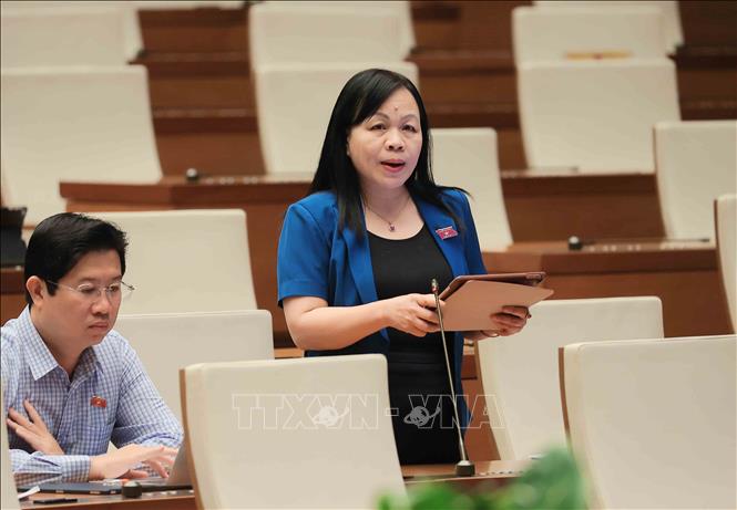 Đại biểu Quốc hội tỉnh Đồng Tháp Nguyễn Thị Mai Hoa phát biểu. Ảnh: An Đăng - TTXVN