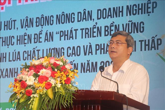 Tiến sĩ Trần Minh Hải, Phó Hiệu trưởng Trường Chính sách công và Phát triển nông thôn tóm lược những kết quả bước đầu trong một năm thực hiện Đề án 1 triệu ha lúa. Ảnh: Thu Hiền - TTXVN