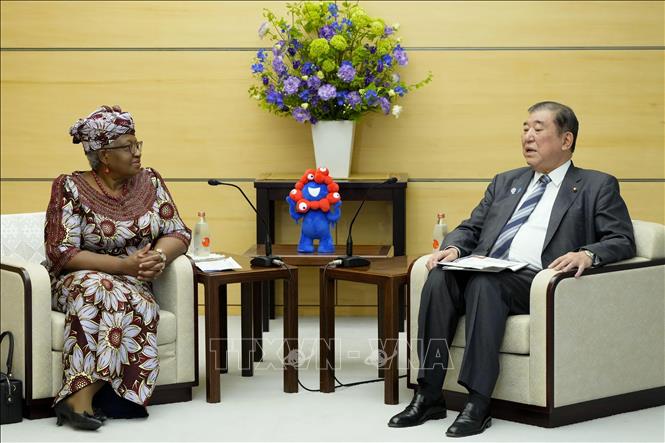 Thủ tướng Nhật Bản Shigeru Ishiba (phải) và Tổng Giám đốc WTO Ngozi Okonjo-Iweala tại cuộc gặp ở Tokyo, Nhật Bản, ngày 13/5/2025. Ảnh: TTXVN phát