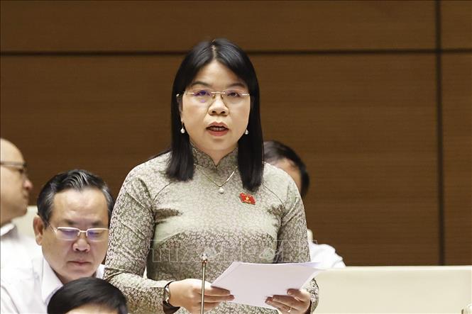 Đại biểu Quốc hội tỉnh Bình Dương Nguyễn Thị Ngọc Xuân phát biểu. Ảnh: Doãn Tấn - TTXVN