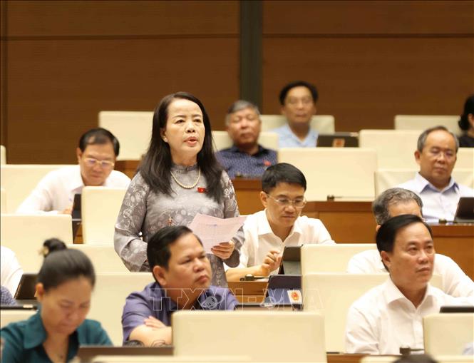 Đại biểu Quốc hội thành phố Đà Nẵng Nguyễn Thị Kim Thúy phát biểu. Ảnh: Phương Hoa - TTXVN