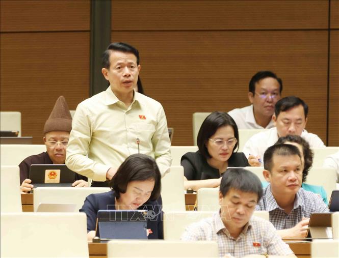 Đại biểu Quốc hội tỉnh Nam Định Nguyễn Hải Dũng phát biểu. Ảnh: Phương Hoa – TTXVN