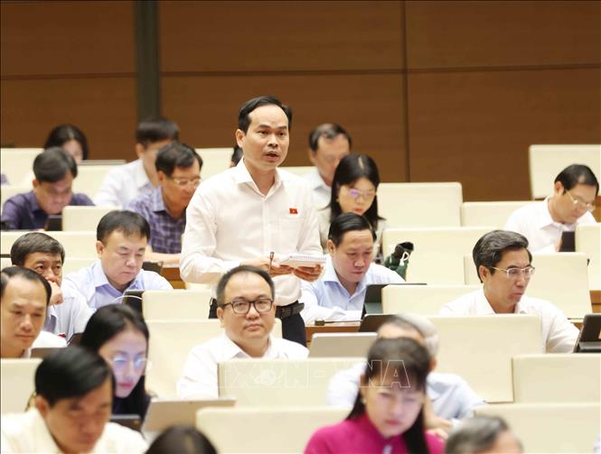Đại biểu Quốc hội thành phố Đà Nẵng Nguyễn Duy Minh phát biểu. Ảnh: Phương Hoa – TTXVN