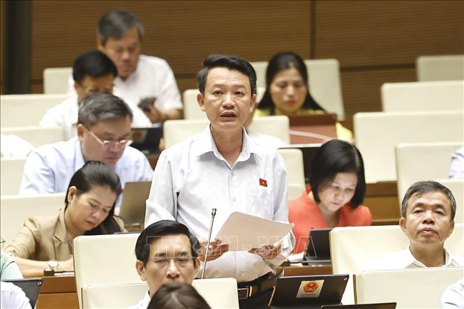 Đại biểu Quốc hội tỉnh Quảng Bình Trần Quang Minh phát biểu. Ảnh: Doãn Tấn - TTXVN