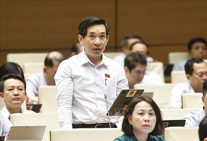 Đại biểu Quốc hội tỉnh Bình Định Nguyễn Văn Cảnh phát biểu. Ảnh: Doãn Tấn - TTXVN