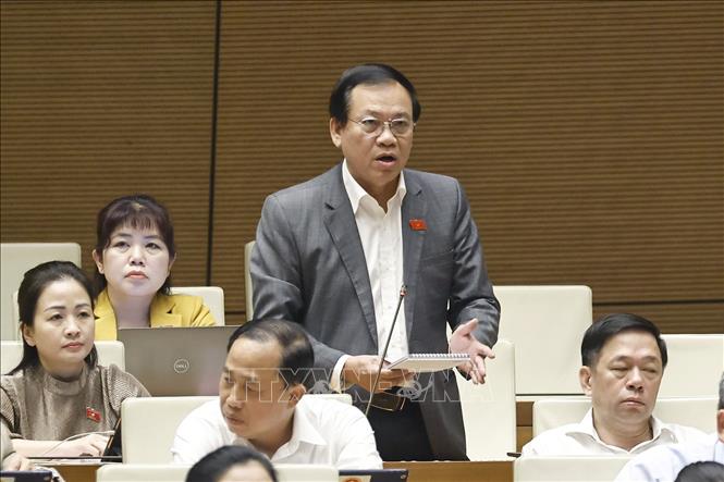 Đại biểu Quốc hội tỉnh Nam Định Vũ Trọng Kim phát biểu. Ảnh: Doãn Tấn - TTXVN