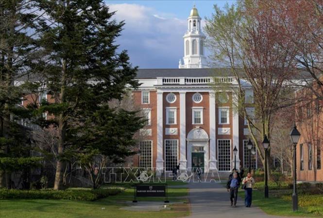 Bên trong khuôn viên Trường Đại học Harvard ở Cambridge, Massachusetts, Mỹ ngày 15/4/2025. Ảnh: REUTERS/TTXVN