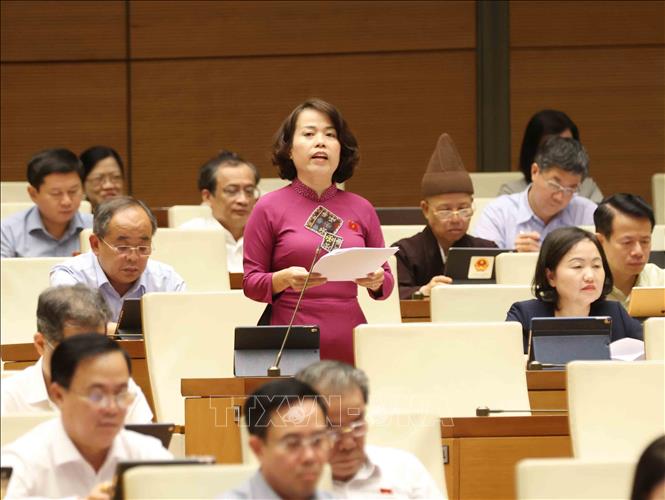 Đại biểu Quốc hội tỉnh Hà Giang Lý Thị Lan phát biểu. Ảnh: Phương Hoa – TTXVN