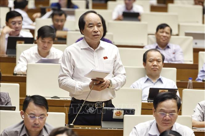 Đại biểu Quốc hội TP Hà Nội Trương Xuân Cừ phát biểu. Ảnh: Doãn Tấn - TTXVN