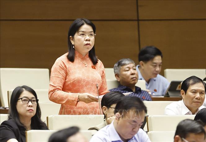 Đại biểu Quốc hội tỉnh Bình Dương Nguyễn Thị Ngọc Xuân phát biểu. Ảnh: Doãn Tấn - TTXVN