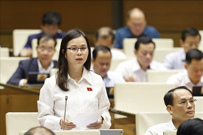 Đại biểu Quốc hội tỉnh Lạng Sơn Chu Thị Hồng Thái phát biểu. Ảnh: Doãn Tấn - TTXVN