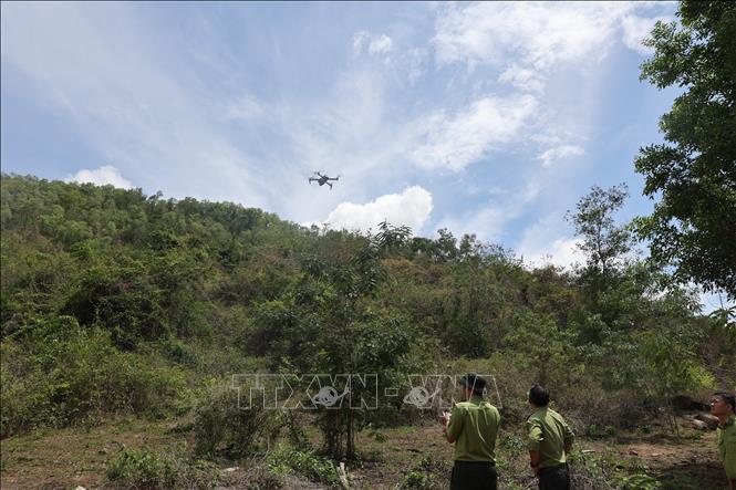 Nhờ thiết bị flycam việc phát hiện các đám cháy, việc vi phạm xâm lấn đất rừng, phá rừng sẽ chính xác và nhanh chóng hơn. Ảnh: Hoàng Nhị - TTXVN