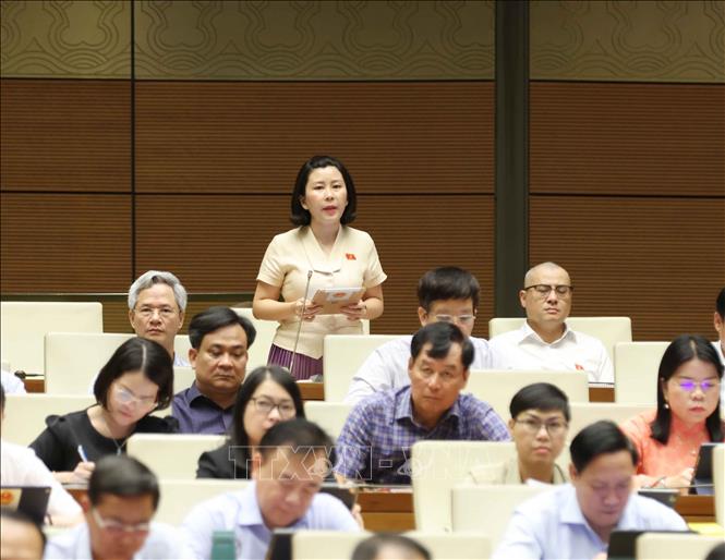 Đại biểu Quốc hội tỉnh Phú Yên Lê Đào An Xuân phát biểu. Ảnh: Phương Hoa - TTXVN