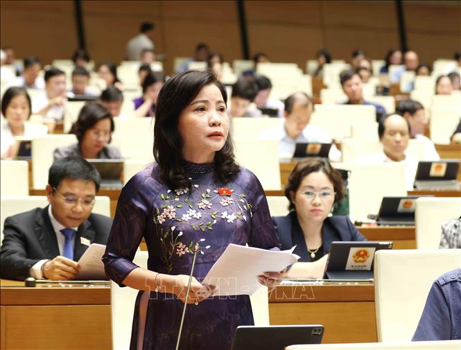 Đại biểu Quốc hội tỉnh Đắk Lắk Nguyễn Thị Thu Nguyệt phát biểu. Ảnh: Phương Hoa - TTXVN