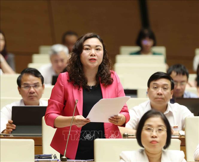 Đại biểu Quốc hội tỉnh Hoà Bình Đặng Bích Ngọc phát biểu. Ảnh: Phương Hoa – TTXVN