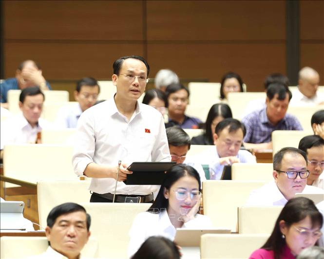Đại biểu Quốc hội tỉnh Lạng Sơn Lưu Bá Mạc phát biểu. Ảnh: Phương Hoa – TTXVN
