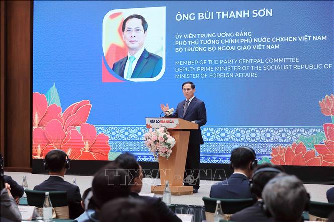  Phó Thủ tướng, Bộ trưởng Bộ Ngoại giao Bùi Thanh Sơn phát biểu chỉ đạo. Ảnh: An Đăng - TTXVN