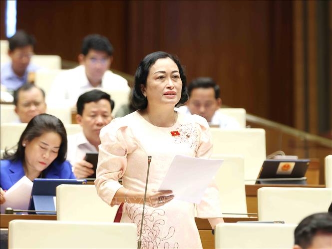 Đại biểu Quốc hội tỉnh Bạc Liêu Trần Thị Hoa Ry phát biểu. Ảnh: Phương Hoa - TTXVN