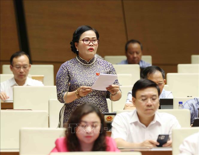 Đại biểu Quốc hội thành Thành phố Huế Nguyễn Thị Sửu phát biểu. Ảnh: Phương Hoa - TTXVN