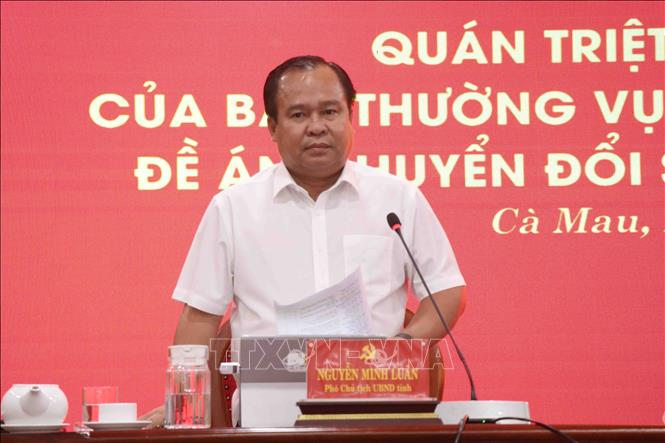 Phó Chủ tịch Ủy ban nhân dân tỉnh Cà Mau Nguyễn Minh Luân phát biểu trao đổi về giải pháp thực hiện công tác chuyển đổi số trong thời gian tới. Ảnh: Kim Há - TTXVN 