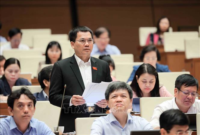 Đại biểu Quốc hội tỉnh Đắk Nông Dương Khắc Mai phát biểu. Ảnh: An Đăng - TTXVN