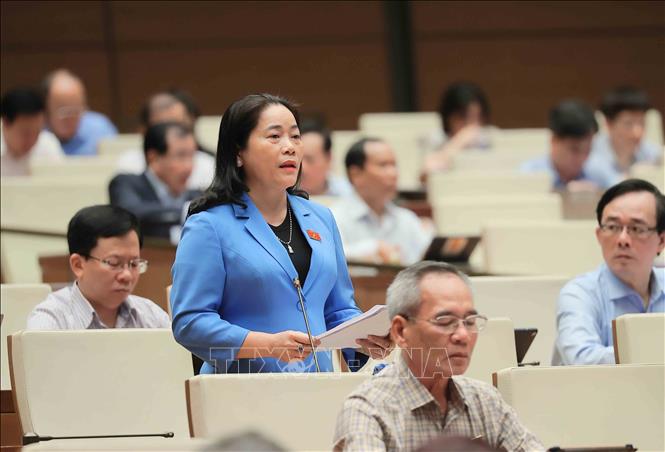 Đại biểu Quốc hội tỉnh Hậu Giang Lê Thị Thanh Lam phát biểu. Ảnh: An Đăng - TTXVN
