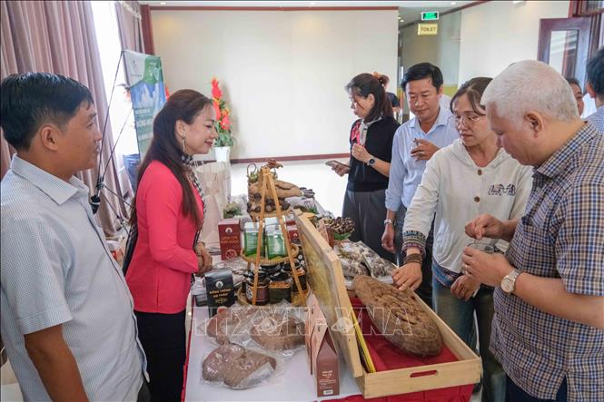 Chị Nương giới thiệu với khách hàng các sản phẩm nấm dược liệu do Nương Farm sản xuất. Ảnh: Thanh Liêm - TTXVN