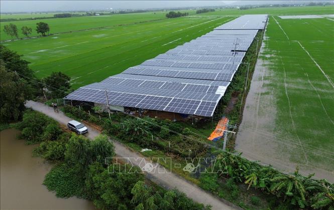 Trang trại trồng nấm sử dụng năng lượng Mặt trời của chị Nương ở xã Tà Đảnh, huyện Tri Tôn, tỉnh An Giang. Ảnh: Thanh Liêm - TTXVN
