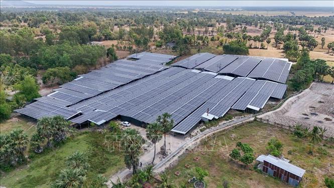Trang trại trồng nấm dược liệu sử dụng năng lượng Mặt trời của chị Châu Thị Nương tại phường Thới Sơn, thị xã Tịnh Biên, tỉnh An Giang. Ảnh: Thanh Liêm - TTXVN
