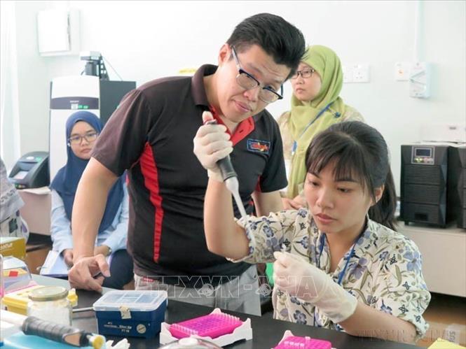 Nghiên cứu viên Phạm Thị Mát (Chi đoàn phòng Nghiên cứu Công nghệ sinh học biển, Đoàn Viện nghiên cứu Hải sản, quận Ngô Quyền) vinh dự là một trong 7 thanh niên tiêu biểu của Hải Phòng dự Đại hội Thanh niên tiên tiến làm theo lời Bác lần thứ VI năm 2020 do Trung ương đoàn thanh niên cộng sản Hồ Chí Minh tổ chức tại Nghệ An. Ảnh: TTXVN