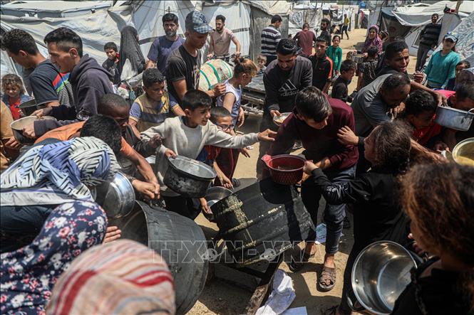 Người dân Palestine chờ được phát thực phẩm cứu trợ tại Gaza. Ảnh: THX/TTXVN