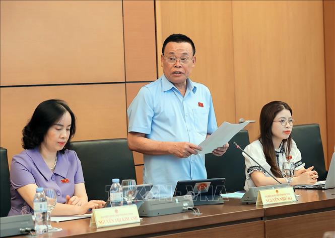 Đại biểu Quốc hội tỉnh Bắc Ninh Nguyễn Như So phát biểu. Ảnh: An Đăng - TTXVN