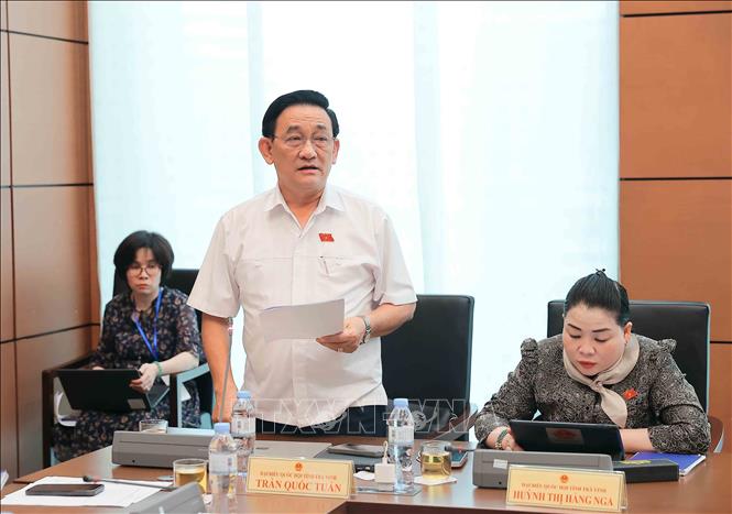 Đại biểu Quốc hội tỉnh Trà Vinh Trần Quốc Tuấn phát biểu. Ảnh: An Đăng - TTXVN
