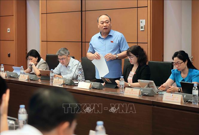 Đại biểu Quốc hội tỉnh Phú Yên Lê Quang Đạo phát biểu. Ảnh: An Đăng - TTXVN