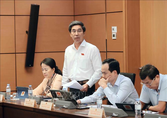 Đại biểu Quốc hội thành phố Đà Nẵng Trần Chí Cường phát biểu. Ảnh: An Đăng - TTXVN