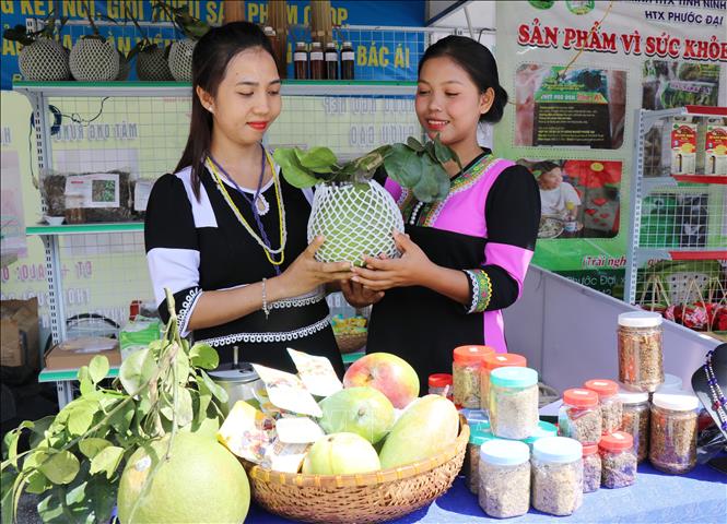 Gian hàng trưng bày sản phẩm OCOP, sản phẩm đặc thù tại Lễ hội. Ảnh: Nguyễn Thành – TTXVN