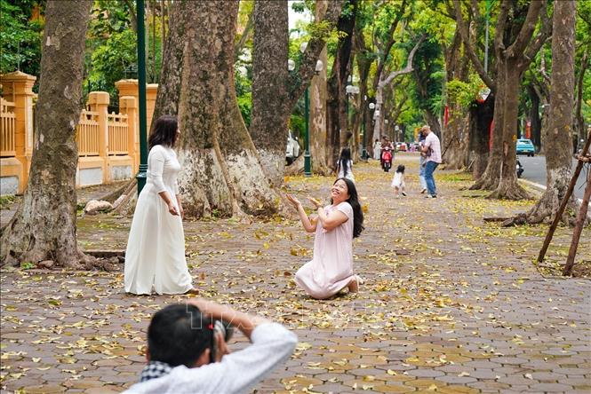 People enjoy capturing the beautiful moment with Hanoi leaf-changing season. VNA Photo: Khánh Hoà