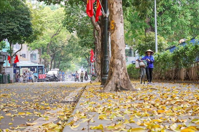 A poetic Hanoi in leaf-changing season. VNA Photo: Khánh Hoà