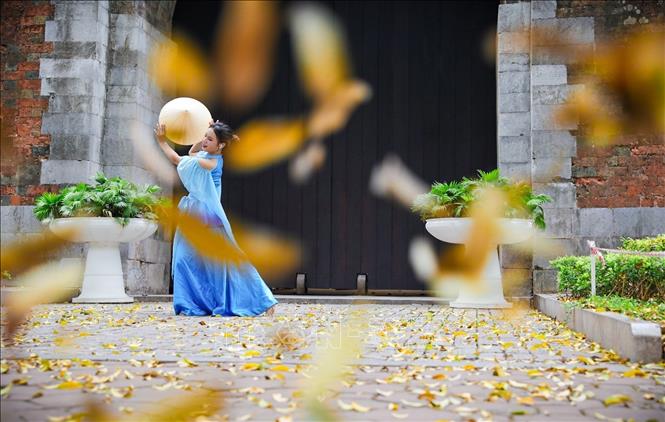 A dancer creates a beautiful photo with Hanoi falling leaves. VNA Photo: Khánh Hoà