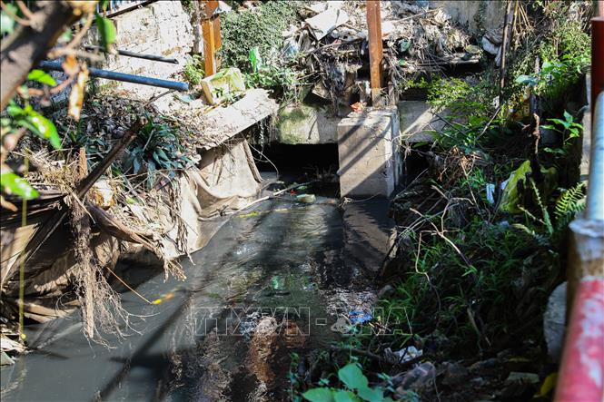 Nước thải sinh hoạt đoạn ngõ 908 Kim Giang đổ thẳng ra sông Tô Lịch. Ảnh: Lê Đông - TTXVN